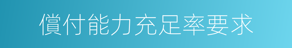 償付能力充足率要求的同義詞