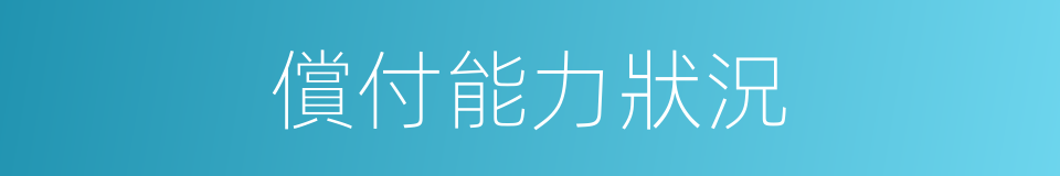 償付能力狀況的同義詞