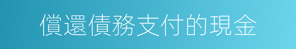 償還債務支付的現金的同義詞