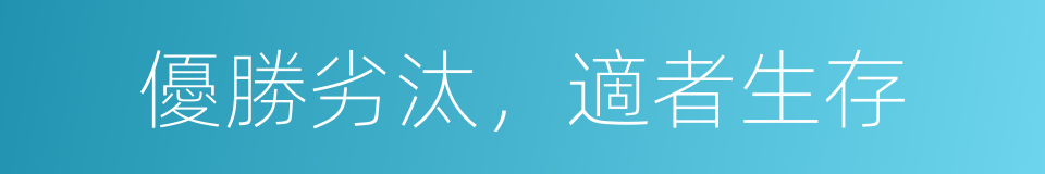 優勝劣汰，適者生存的同義詞