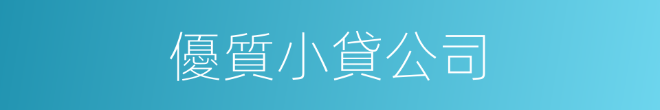 優質小貸公司的同義詞