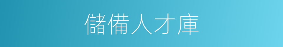 儲備人才庫的同義詞