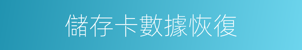 儲存卡數據恢復的同義詞