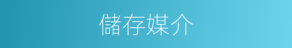 儲存媒介的同義詞