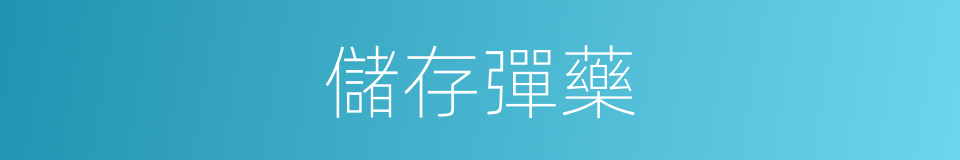 儲存彈藥的同義詞