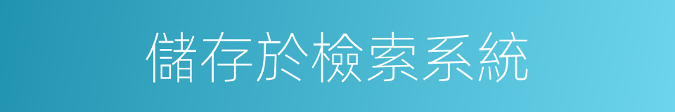 儲存於檢索系統的同義詞