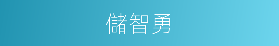 儲智勇的同義詞