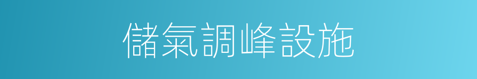 儲氣調峰設施的同義詞