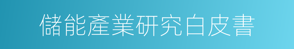儲能產業研究白皮書的同義詞