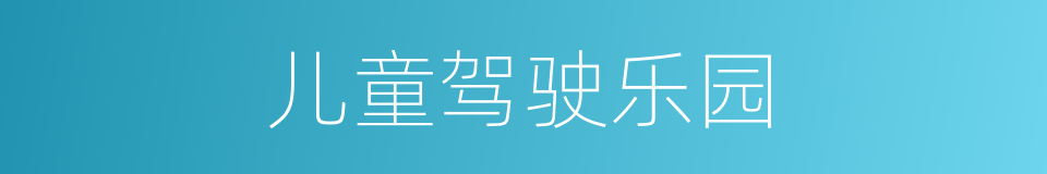 儿童驾驶乐园的同义词