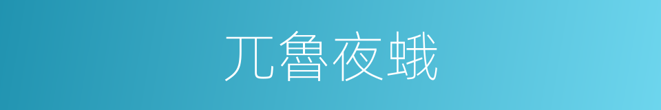 兀魯夜蛾的同義詞
