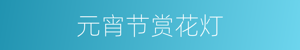 元宵节赏花灯的同义词