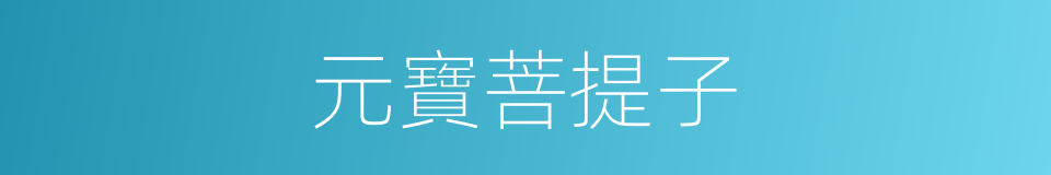 元寶菩提子的同義詞