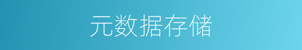 元数据存储的同义词