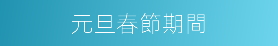 元旦春節期間的同義詞