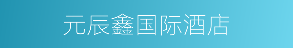 元辰鑫国际酒店的同义词