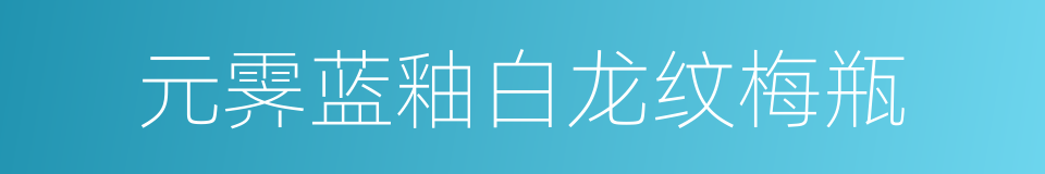 元霁蓝釉白龙纹梅瓶的同义词