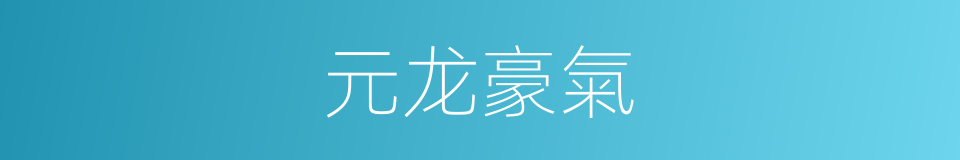 元龙豪氣的意思
