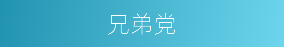兄弟党的同义词