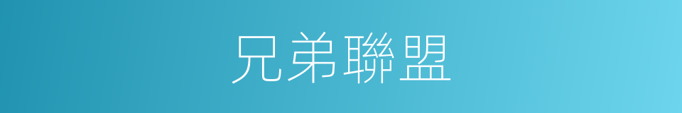 兄弟聯盟的同義詞