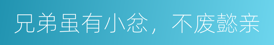 兄弟虽有小忿，不废懿亲的同义词