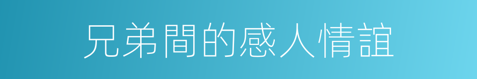 兄弟間的感人情誼的同義詞