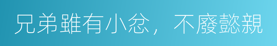 兄弟雖有小忿，不廢懿親的同義詞
