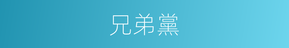 兄弟黨的同義詞