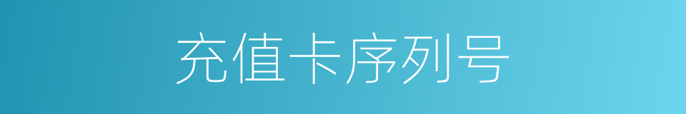 充值卡序列号的同义词