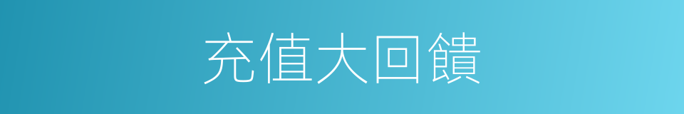 充值大回饋的同義詞