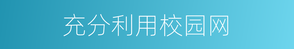 充分利用校园网的同义词