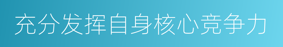 充分发挥自身核心竞争力的同义词