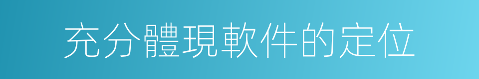 充分體現軟件的定位的同義詞