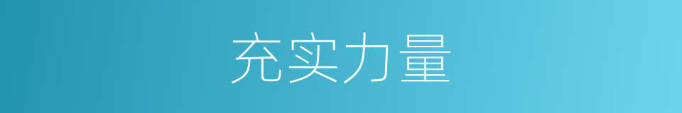 充实力量的同义词
