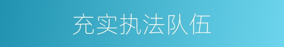 充实执法队伍的同义词