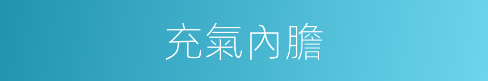 充氣內膽的同義詞