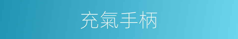 充氣手柄的同義詞