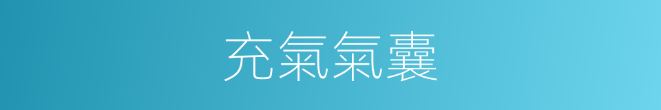 充氣氣囊的同義詞