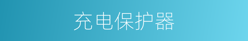 充电保护器的同义词
