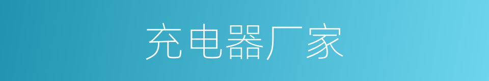 充电器厂家的同义词