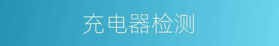 充电器检测的同义词