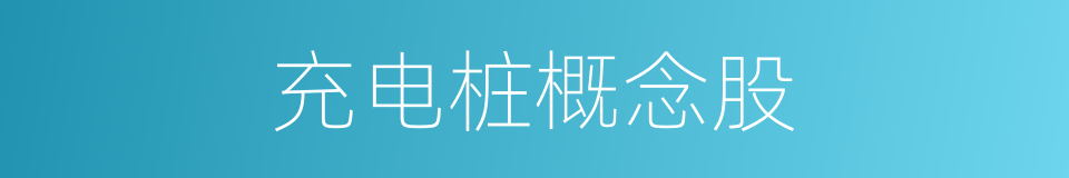 充电桩概念股的同义词