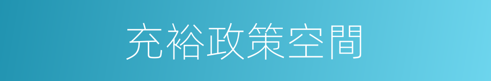 充裕政策空間的同義詞