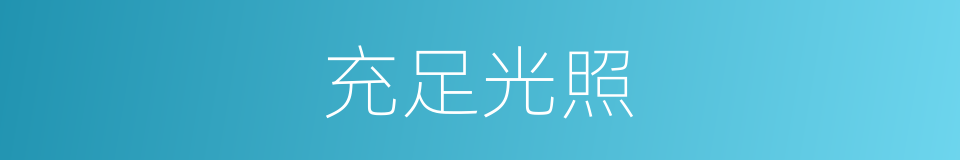 充足光照的同义词