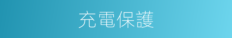 充電保護的同義詞