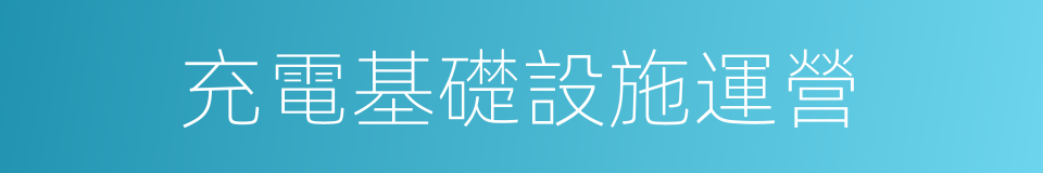 充電基礎設施運營的同義詞