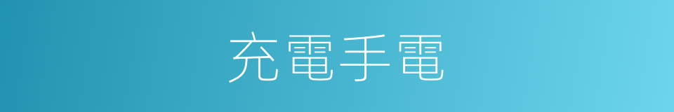 充電手電的同義詞