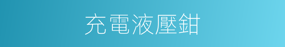 充電液壓鉗的同義詞