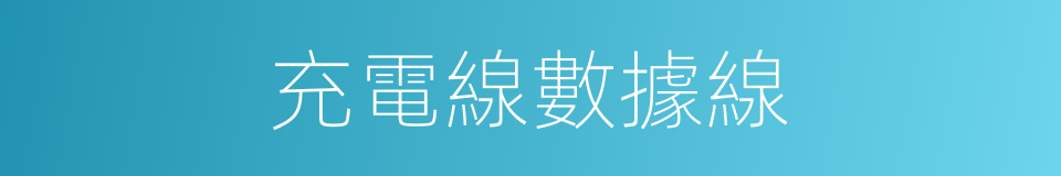 充電線數據線的同義詞