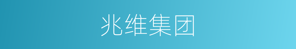 兆维集团的同义词